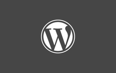 Wordpress plugin Wordpress plugin